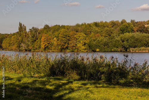 Mlynsky rybnik pond near Cesky Brod town, Czech Republic