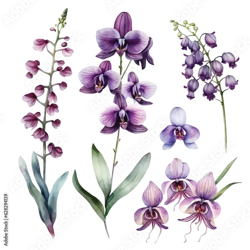 Orchid flower watercolor paint collection