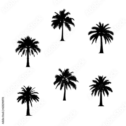 Vector set of palm tree illustrations. Graphic elements for tropical beach design. black icon of coconut trees isolated on white background.