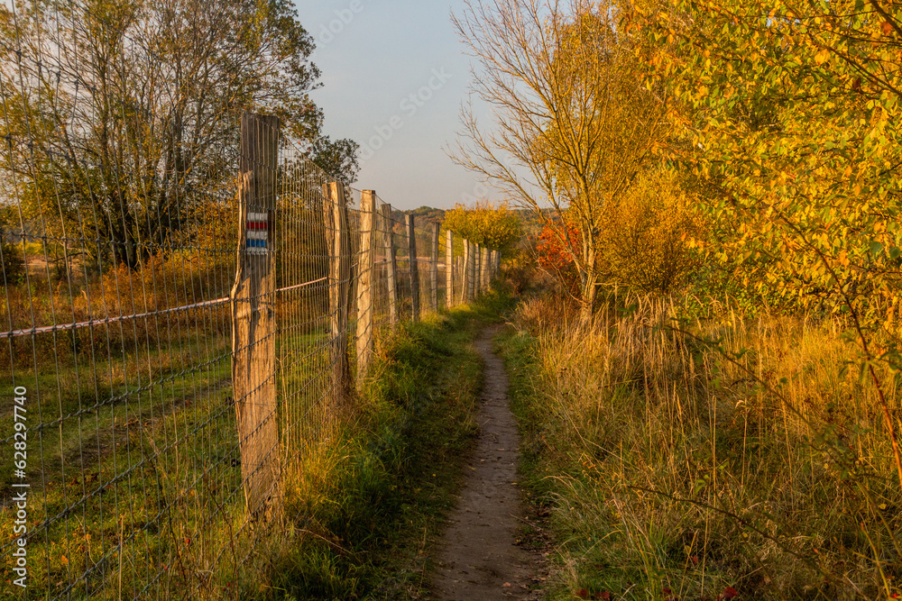 Fototapeta premium Fence around Milovice Nature Reserve hosting wild horse and aurochs, Czech Republic