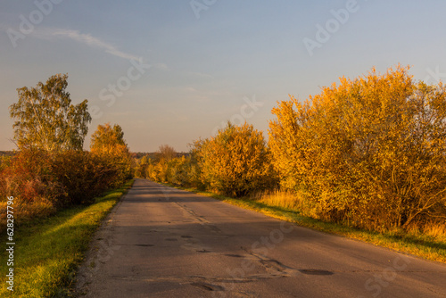 Autumn view of a road near Milovice, Czech Republic