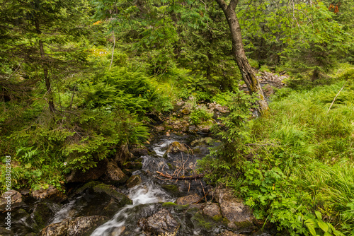 Stream in Nizke Tatry mountains, Slovakia