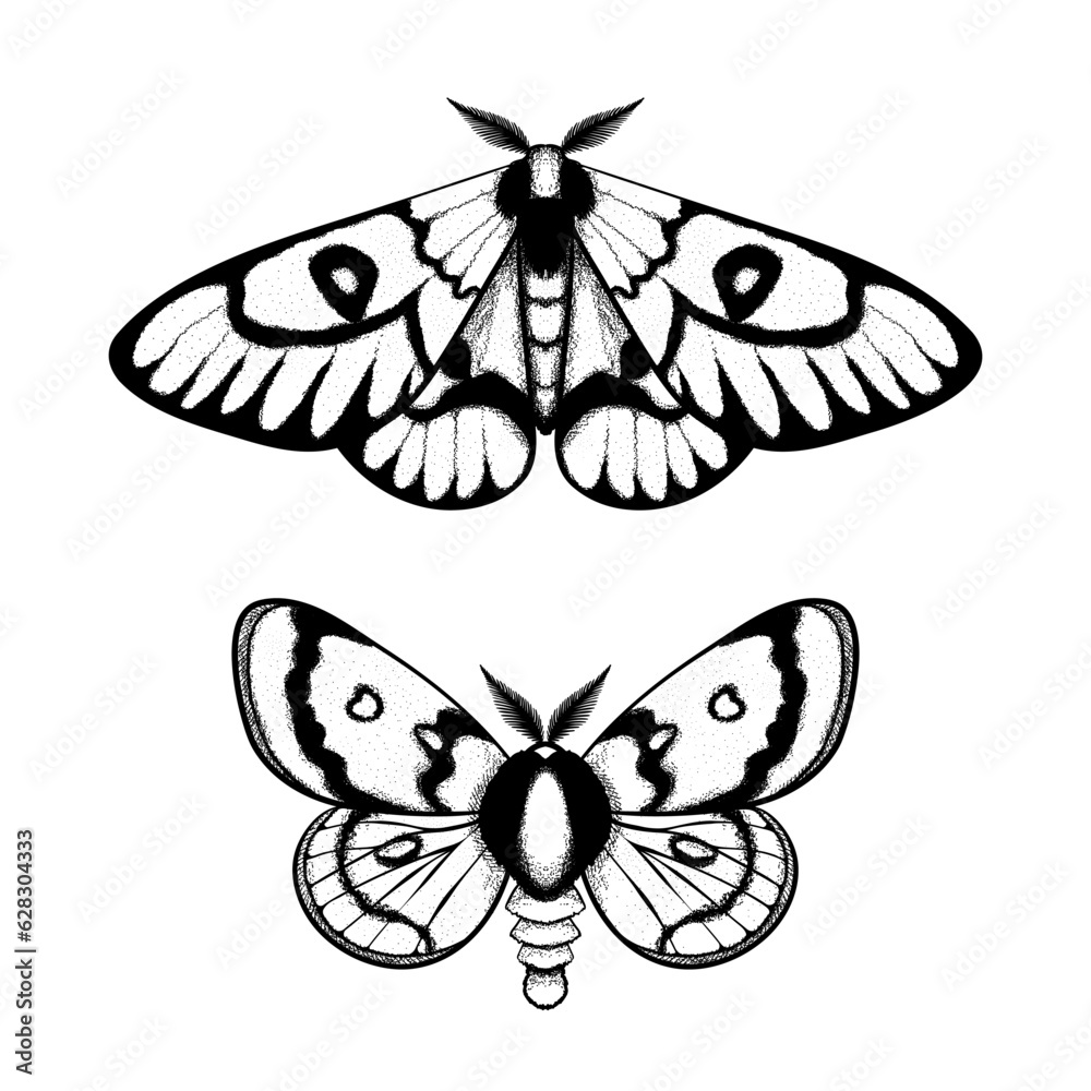 Vector moth, mystic symbol and signs. Witchcraft, occult, alchemical ...
