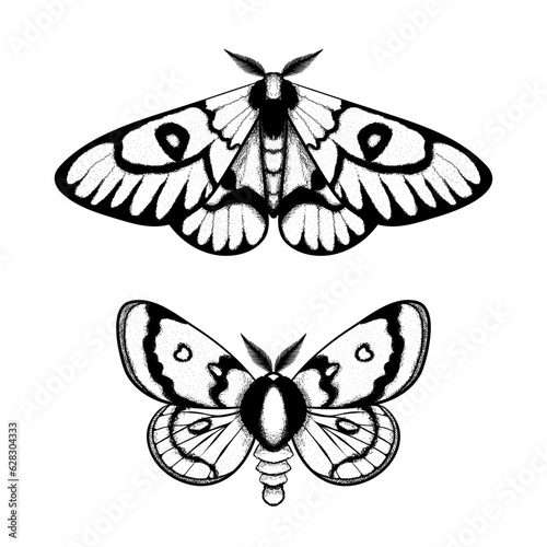 Vector moth, mystic symbol and signs. Witchcraft, occult, alchemical signs. Butterfly moth vintage engraved style