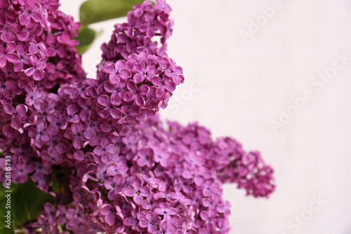 Beautiful blooming lilac flowers against white background, closeup. Space for text