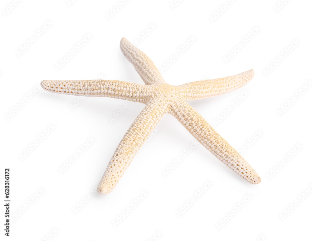Beautiful sea star (starfish) isolated on white Beautiful sea star (starfish) isolated on white