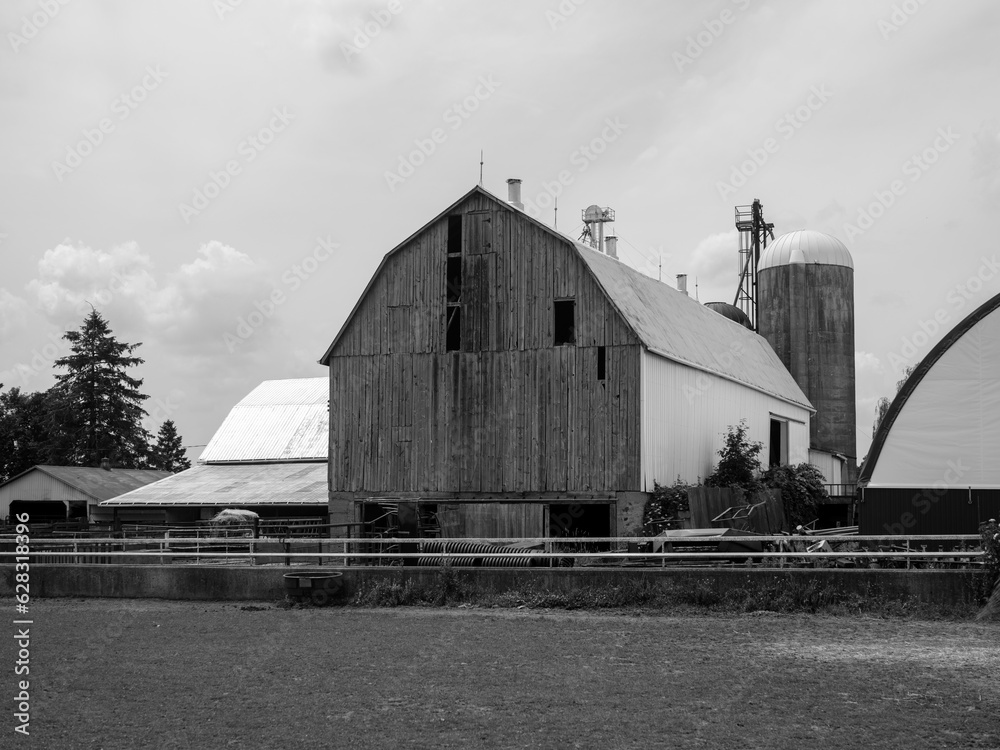 Fototapeta premium old barn and silo