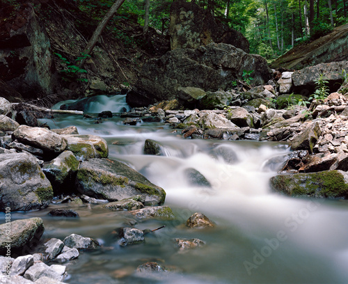 waterfall in the forest