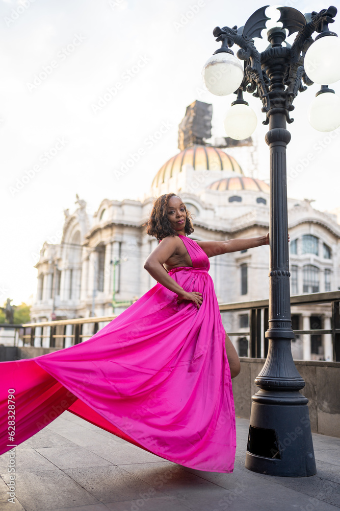 Fototapeta premium elegant black girl wearing a dress