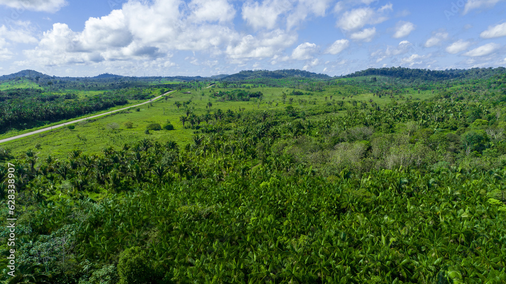 landscape with green grass and sky landscape with green grass and sky