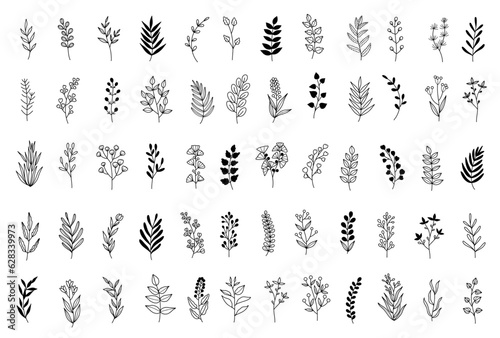 Greenery Elements, Botanical Doodle Set, Leaf & Flower Vector Clip Art, Hand-drawn, Wildflower Line Drawing © Len Minimal Design