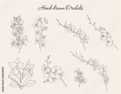 Hand-drawn Orchids Set, Orchid Fine Lines, Flower Black & White Drawing, Vector Orchids Design, For Tattoo, Cricut, Laser Cut, Branding, Wedding, PoD