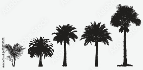 Exquisite Date Palm Tree Silhouettes  A Diverse Collection of Versatile Vector Graphics for Your Projects