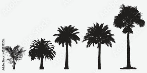 Exquisite Date Palm Tree Silhouettes, A Diverse Collection of Versatile Vector Graphics for Your Projects