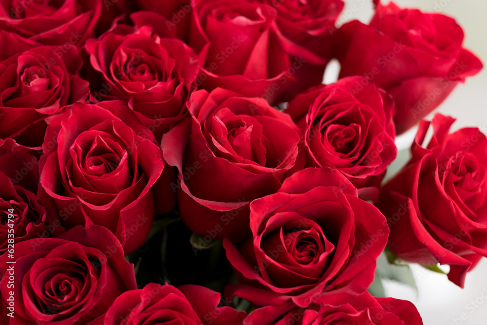 Naklejka premium a bouquet of beautiful red roses for a girl's birthday