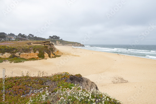 Wildflowers on cliffs, beach and Pacific Ocean in California