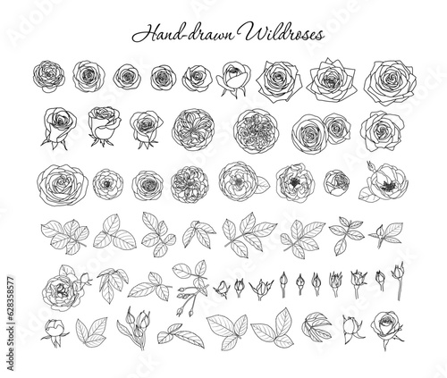 Rosa Botanical Elements Set  Rose Fine Line Art  Hand drawn Blooms  Buds  Leaves  Vector Roses  Flower Black   White Drawing  For Tattoo  Cricut  Laser Cut  Branding  Wedding  PoD