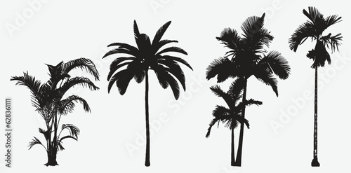 Exquisite Silhouettes of Majestic Betel Nut Trees, Nature's Artistry in Vector