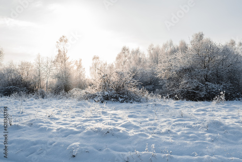 winter expanses of Siberia, white snow and road © Irina