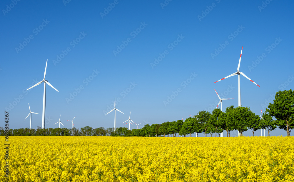Wind turbines, trees and a flowering canola field seen in Germany Wind turbines, trees and a flowering canola field seen in Germany