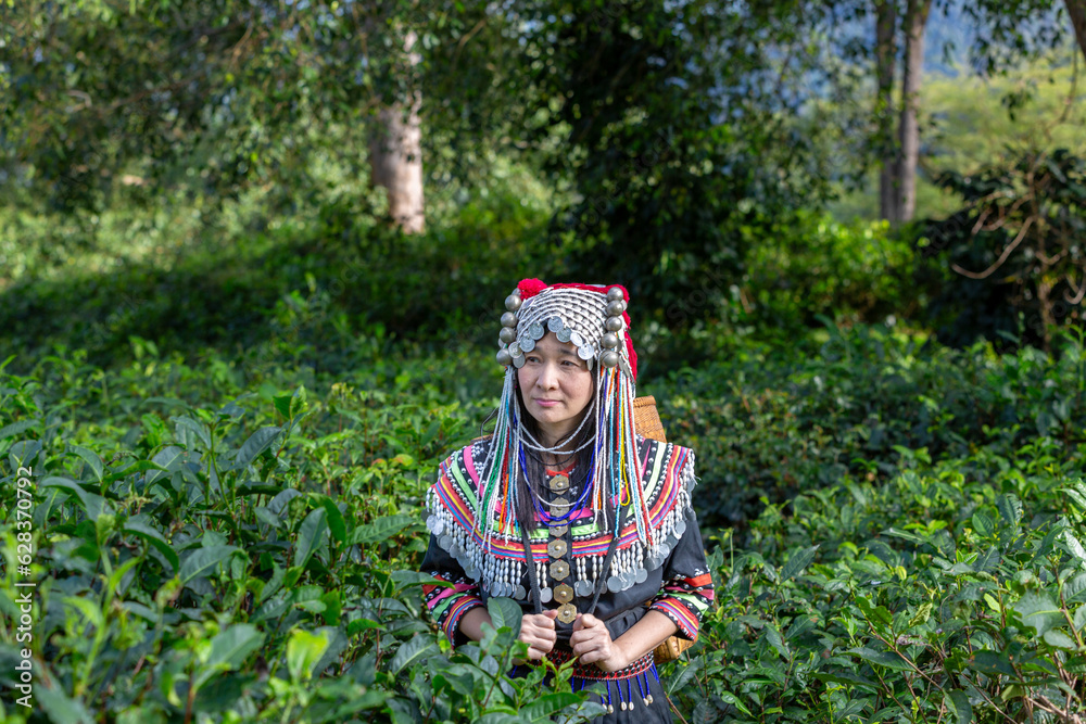 Miao Woman In Traditional Dress Miao Woman In Traditional Dress