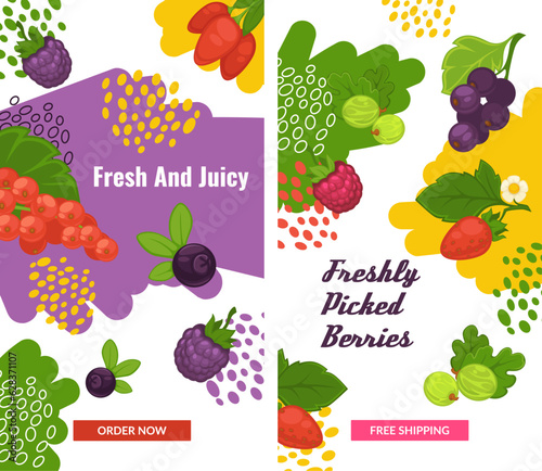 Freshly picked berries, superfodd fruits vector