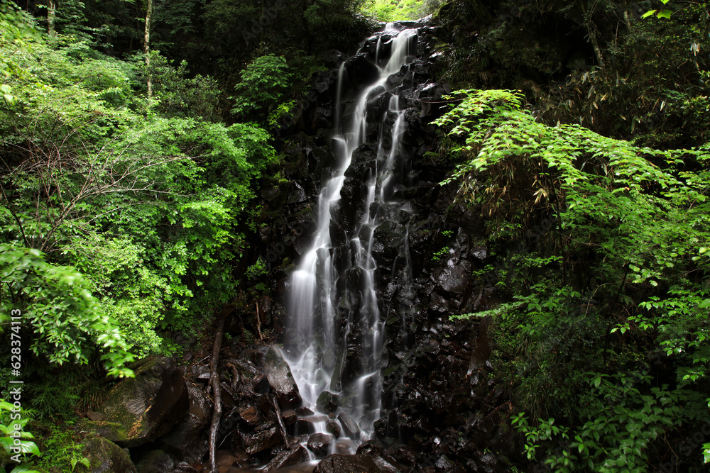 Obraz premium 紫音の滝 神奈川県足柄下郡湯河原町