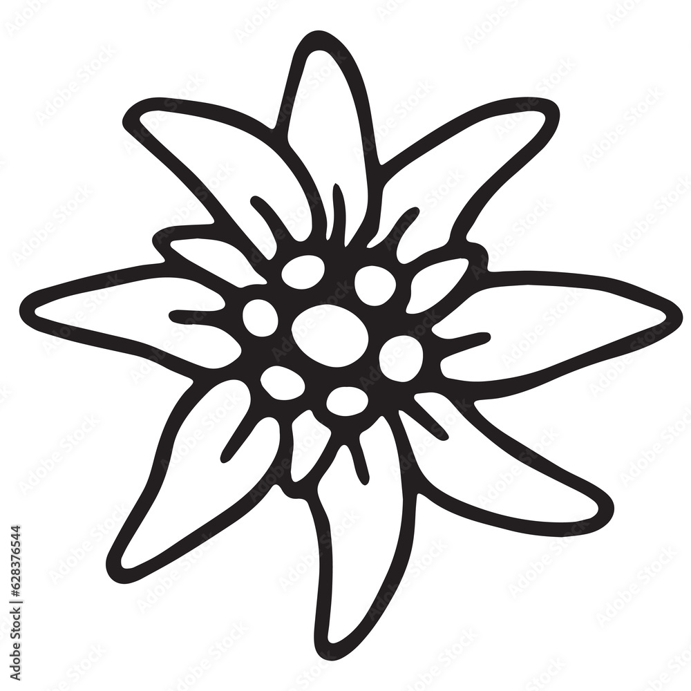 floral blume edelweiss alpenblume weiss alpenstar floral blume edelweiss alpenblume weiss alpenstar