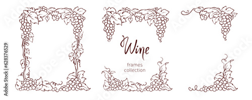 Set of design elements with vine. Vector graphic illustration, corners and frames for wine label design.  Sketch in lines, freehand drawing.