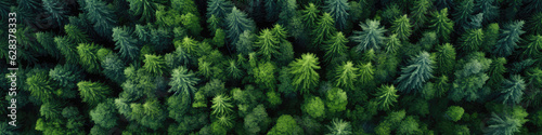Dense Beautiful Green Forest, View From Above From The Drone. Panoramic Banner. Dense Green Forest, Panoramic View From Above, Drone View, Beautiful Forest, Panoramic Banner