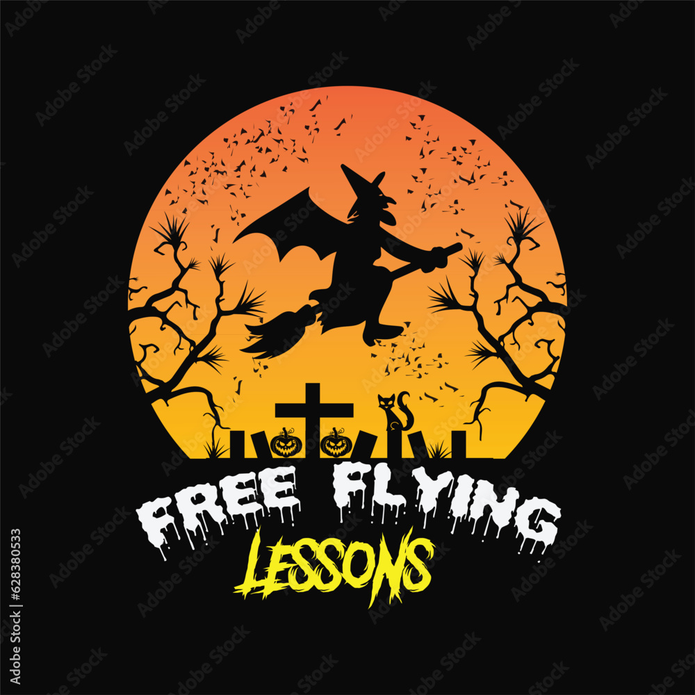 Free flying lessons 11