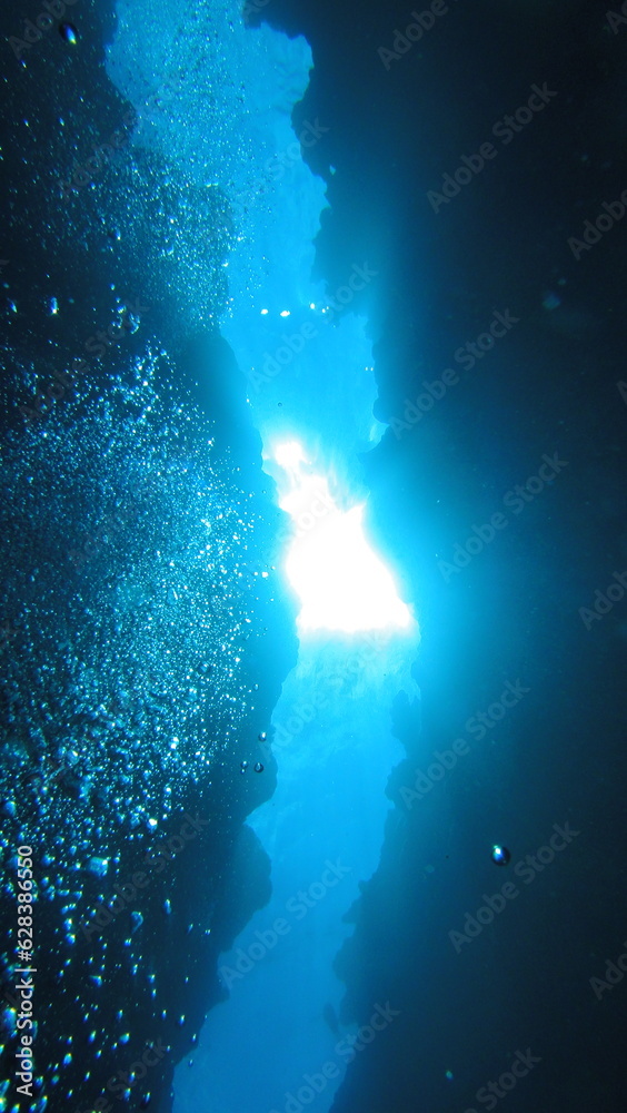 Obraz premium スキューバダイビング沖縄の海