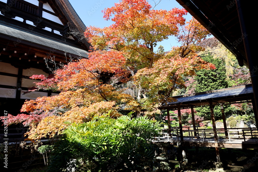 紅葉の恵林寺