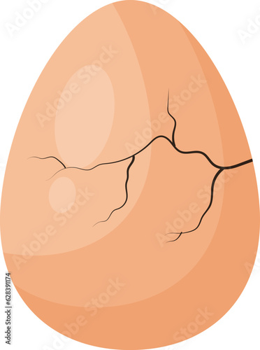 Cracked egg Vector image
