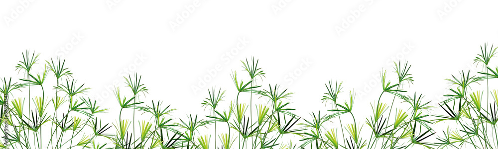grass schild gründ auf weissem hintergund blätter äste grass schild gründ auf weissem hintergund blätter äste