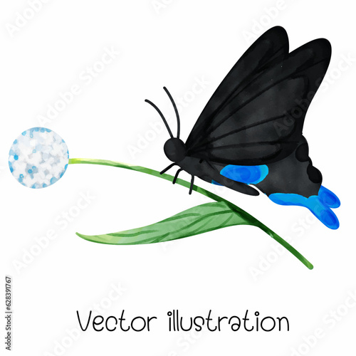 фотографія Watercolor black butterfly vector illustration