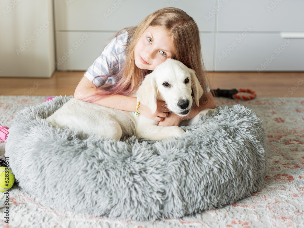 Little girl playing with a golden retriever puppy at home. Little girl playing with a golden retriever puppy at home.