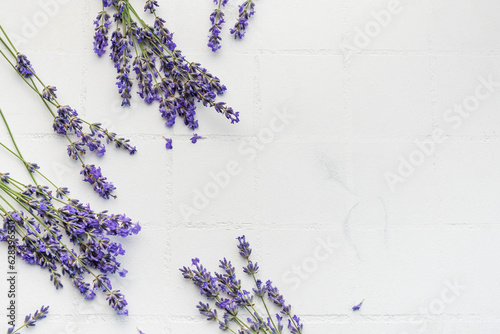 Fresh lavender flowers on a white tile background.