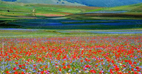 Castelluccio di  Norcia (PG)