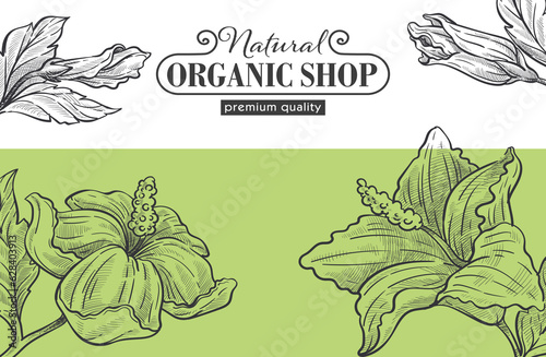 Organic and natural shop with assortment vector