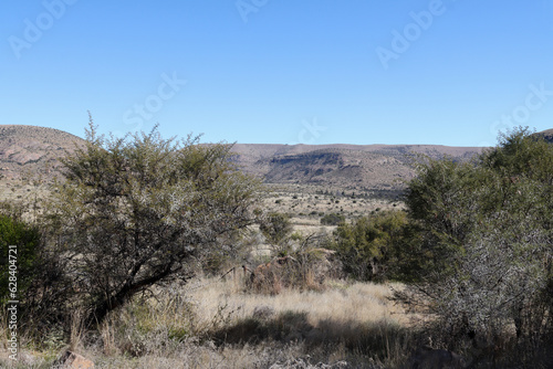 Mountain Zebra National Park, South Africa: general view of the terrain and veld from the tourist camp