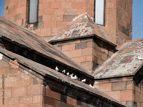 pigeons on a khor virap monastery wall photo