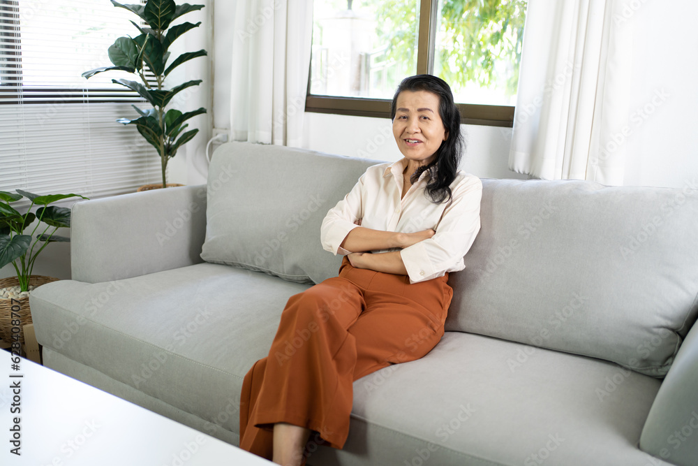 Portrait of Middle age Asian woman. smiling Beautiful mature asian woman. business lady Portrait of Middle age Asian woman. smiling Beautiful mature asian woman. business lady