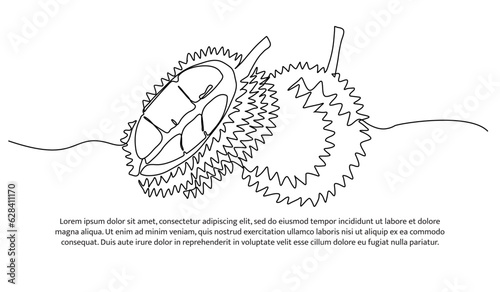 Durian one continuous line design. Fruits symbol design concept. Decorative elements drawn on a white background.