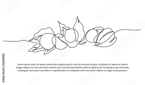 Golden berry one continuous line design. Fruits symbol design concept. Decorative elements drawn on a white background. photo