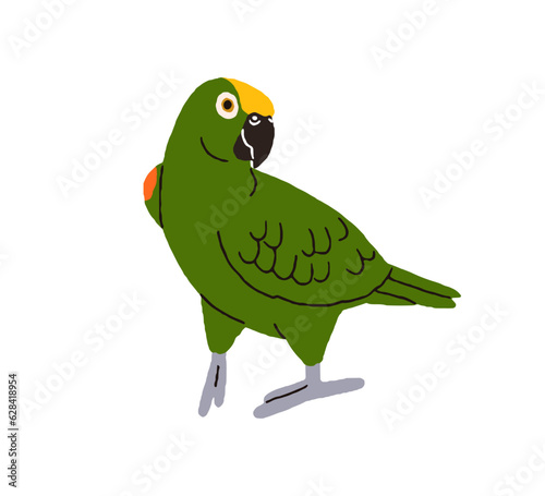 Amazon parrot. Cute funny Amazona bird. Exotic tropical jungle green-feathered birdie going, walking with folded wings. Flat vector illustration isolated on white background