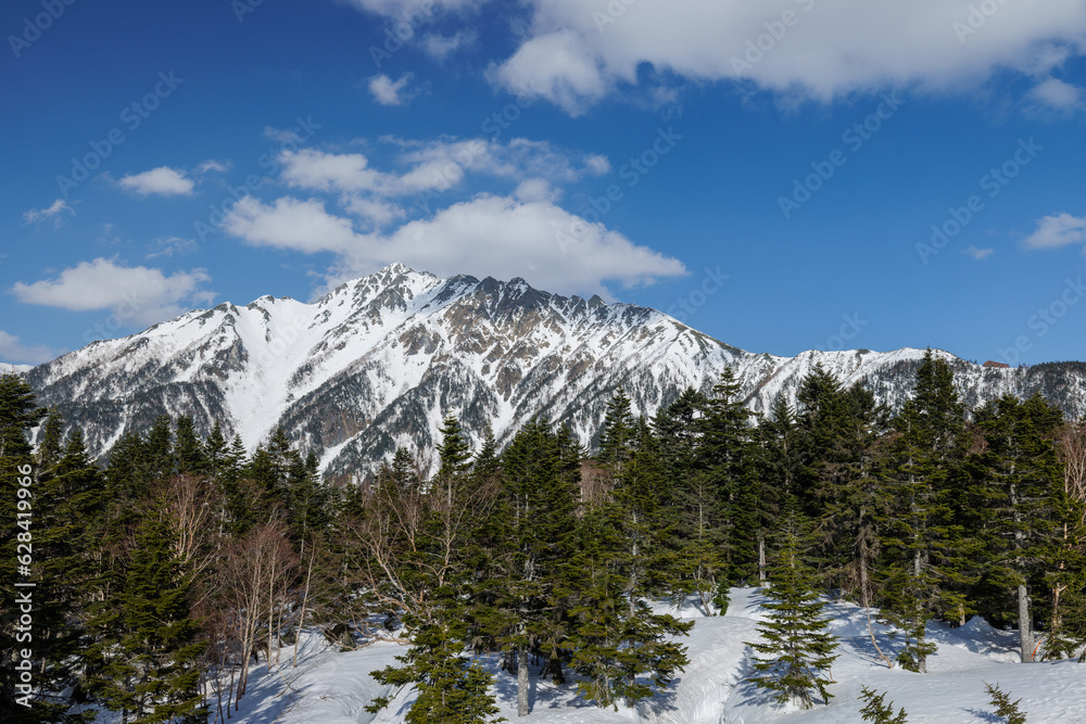Fototapeta premium 新穂高ロープウェイ_西穂高口駅の展望台から西穂高岳