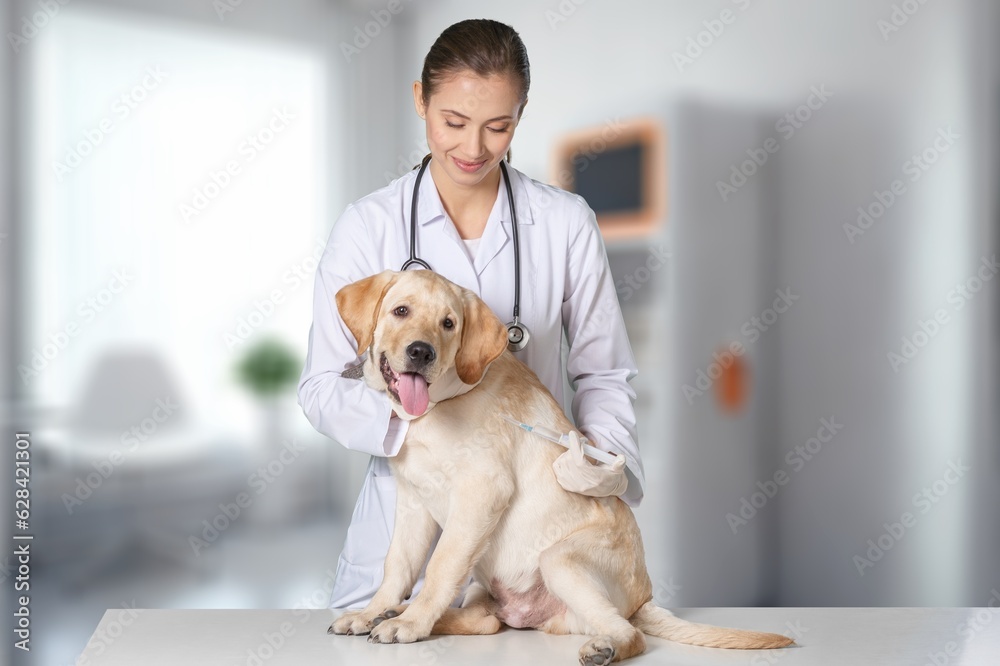 Young Veterinarian Petting a Dog in clinic, AI generated image