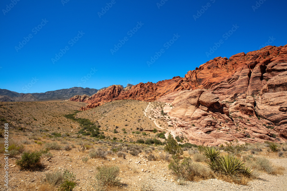 View of Rock Formations and Flora in Red Rock Canyon, Nevada