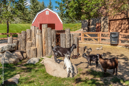 Forestry Farm in the city of Saskatoon, Canada photo